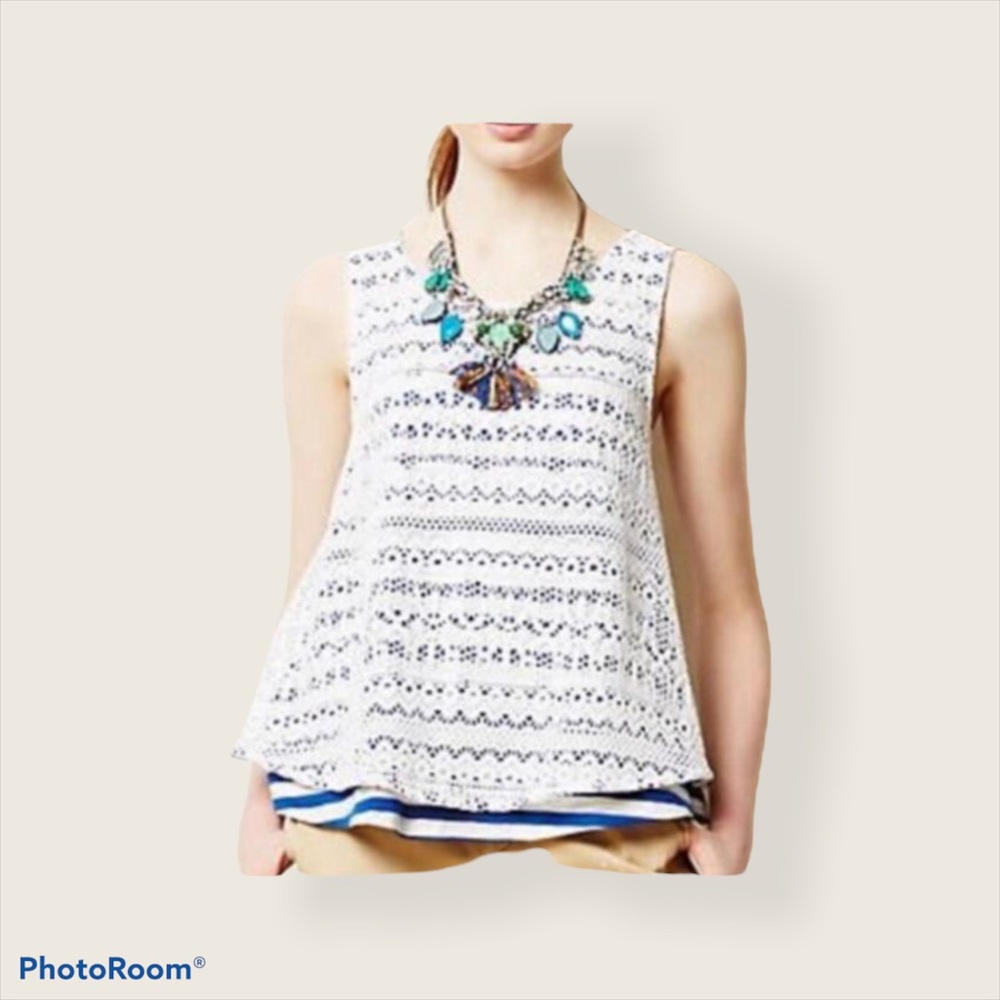 ANTHRO Postmark Lace Overlay striped cropped tank